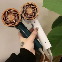 Hammer-Haartrockner mit konstanter Temperatur und negativem Ionen-Blaulicht, Geschenk für einen Haartrockner zu Hause
