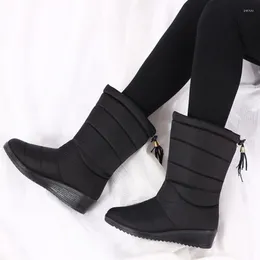 Buty kliny platforma w połowie zawartości Wodoodporna antypoślizgowe buty dla kobiet na zewnątrz Plush Keep Warm Lady Footwear Bota Neve Feminina