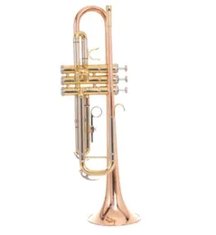 SADSN STR-500L Bb Tune Trumpet Phosphorus Copper Ross Gold B Flat Trumpet Instrument with Mouthpiece Case
