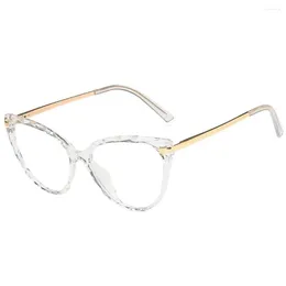 Sonnenbrille 1 Paar Frauen Brille dreieckige universelle HD Stilvolle modische Brille