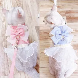 Katthalsar Leads Pearl Lace Harness för katt Tutu kjol med koppel Bow Lead Set Four Season Little Small Animal Outdoor Walking Collar Dress Goods 231009