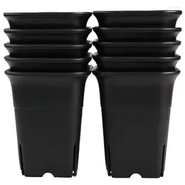 Chains 12PCS-Pack Black Square Plastic Succulent Plant Pot For Flowers Cactus Etc. Nursery Flower