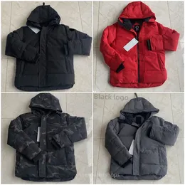 Tasarımcı Kanada Kış Ceket Erkekler Kalın Ceketler Homme Jassen Parumlar Woolrich Chaquetas Parka Outerwear Kanada Kaz Mens Chaqueton Ceket