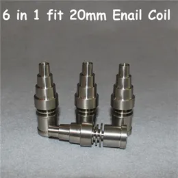 6 في 1 أدوات Banger Titanium تناسب 20 مم لفائف كهربائية Domless Ti Nail للذكور من التيتانيومبرانغرز Nails233V