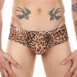 Wholesale Cheap Men Underwear Leopard - Buy in Bulk on DHgate UK