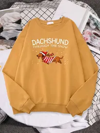 Hoodies للنساء من النوع الثقيل dachshund من خلال الثلج Dog Funny Dog Christmas Womne Hoody Yule Gift Trend Full Sleeve Pullover Street مريح Wordswearsl231011