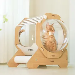 Camas para gatos Mobiliário Cápsula de madeira para gatos com almofada Moderna Transparente Cat Room Acrílico Pequenos animais de estimação Cama para gatos Túnel fechado Móveis para cães 231011