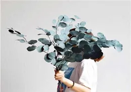 110 Glotnatural Zachowane eukaliptus liście bukiet wieczny suszony kwiat na ślub domowy akcesoria