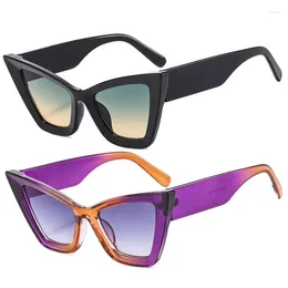 Gafas de sol Mujer Moda Plástico Gafas de sol Tendencia Pasarela Calle Tiro Personalizado Ojo de Gato Logotipo personalizado