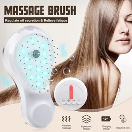 Hårborstar LED Vibration Hårbotten Massage Comb Brush Portable Electric Jonic Hair Brush Negative Jones Anti-Static Hairbrush Head Massager 231012