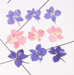 Dekoratif Çiçekler 250pcs Preslenmiş kurutulmuş çiçek konsolida gaura lindheimeri dolgu epoksi reçine mücevher yapımı kartpostal çerçeve telefon kılıfı zanaat