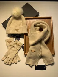 Design Premium warm hat Scarf gloves 3Sets men and women winter shawls Designer hat scarf Wool Hawaiian scarf Hat glove set box fashion designer