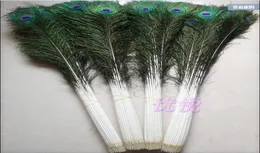 Cały 100pcslot 1044 cala 25110 cm Piękne wysokiej jakości naturalne pióra Peacock Eye for DIY Dekoracja ubrań Wedding 4212986