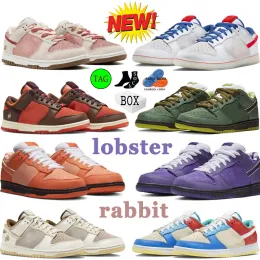 Низкие оригинальные кроссовки SB Mens Mens Lows Sneakers Trainers Год дизайнера кролика оранжевого зеленого пурпурного омара Eur 36-45