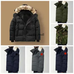 Gansos canadenses jaquetas homens designer real pele de coiote ao ar livre wyndham blusão jassen outerwear com capuz fourrure jaqueta masculina para baixo