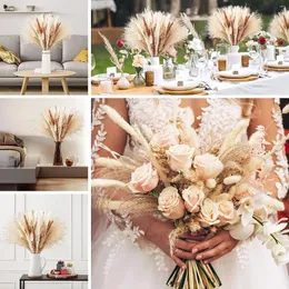 Decorative Flowers 110 PCS Natural Dried Pampas Grass Bouquet Boho Home Decor Phragmites For Wedding