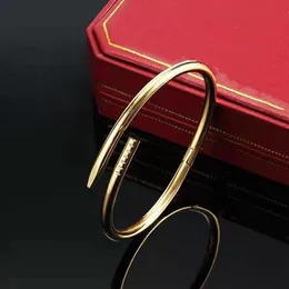 Liebhaber Armband Schraube Nagel Armbänder Manschette Damen Titan Stahl Gold Charme Luxus Armreif Pulsera für Männer und Frauen Party Paare 2385