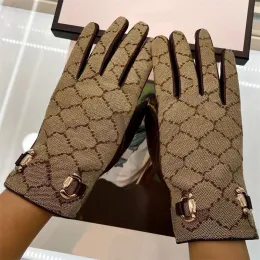 Lüks kadın eldiven tasarımcısı erkek eldivenler moda marka mektubu çıplak bilek parmak eldivenleri kış sıcak koyun derisi eldivenleri g2310181z-6