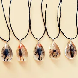 펜던트 목걸이 고딕 빈티지 목걸이 전갈 스코퍼 개미 ant 매력 수지 패션 실제 곤충 표본 보석 선물 로프 체인 초커