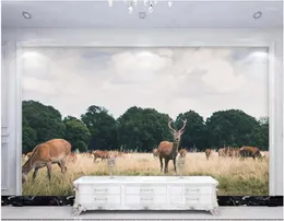 Tapety niestandardowe Mural 3d Po Wallpape Elk Elk Had in the African Savannah Home Decor salon na ścianę 3 D Rolls