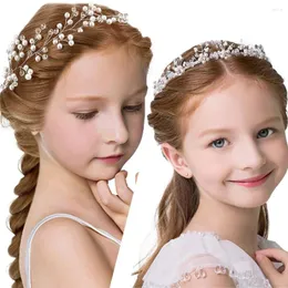 Haarspangen Hochzeit Blume Kronprinzessin Kopfschmuck Strass Stirnband Schleier Kristall Tiara für Mädchen