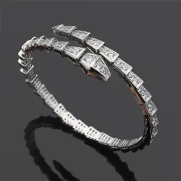 Designer tennis designer gioielli braccialetto da donna diamante adorabile serpente argento gioielli in oro rosa piatto di rame fascino festa di nozze fidanzata braccialetto serpente