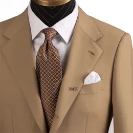 Cravatte da uomo Cravatte Cravatte scozzesi Zometg Cravatte cravatte business Regalo da uomo ZmtgN2539