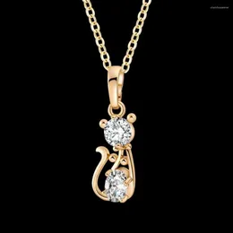 Pingente colares gato gatinho bonito colar pingentes para mulheres de aço inoxidável rosa cor de ouro corrente zircônia cúbica jóias295q