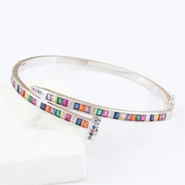 Braccialetti di lusso di rame arcobaleno arcobaleno CZ braccialetti rotondi multi colori braccialetti di fascino di cristallo per le donne regali di gioielli di marca di nozze Bang200U