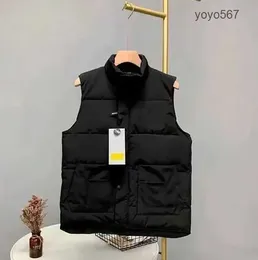 Parka Piumino da uomo di design Cappotti caldi invernali Oca canadese Lettera casual Ricamo Moda invernale all'aperto Per coppie maschili Gilet Parka canadese AMUC