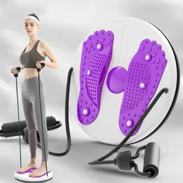 Twist Boards Fitness Waist Twisting Disc Balance Board Fitness Equipment For Home Body Aerobic Rotating Sports Magnetic Massage Plate Disc 231018