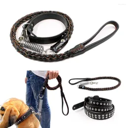 Hundehalsbänder Lederhalsband Leine Peitoral Cachorro Dieren Benodigheden Hond Perros Collares Y Arneses Haustiere Zubehör Correa Perro