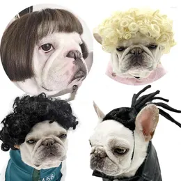 Abbigliamento per cani Parrucca per animali Forniture transfrontaliere Accessori per Halloween Capelli ricci Lisci Gatto