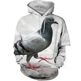 Customized Tees & Polos Dove Gray Men's casual baseball suit 3D digital printed pigeon series sweater