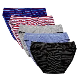 Mutande da 5 pacchi Mutandine da uomo 95 slip da uomo in cotone a righe colore moda uomo intimo SXXL mutandine morbide di alta qualità per 231019