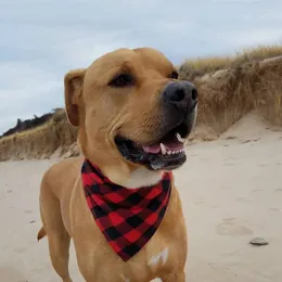 Vestuário para cães Pet Saliva Toalha Triângulo Algodão Xadrez Cachecol Gato Tiara