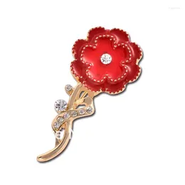 Brooches Women 2014 Rhinestone Flower Brooch Wholesale Carnation Pins for Mum x1457