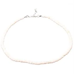 Богемное винтажное ожерелье из натуральных ракушек, женское ювелирное изделие, Гавайское гладкое ожерелье из ракушек Пука, новые поступления 2019 года1280z