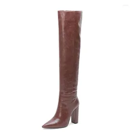 Boots Thick Heel Snake Women Microfiber Leather Winter Over The Knee Multi-Color Optional High Zapatos Mujer Invierno