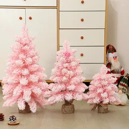 Decorações de Natal Árvore Artificial 60cm Rosa Desktop Reunindo Pinheiro de Natal com Decoração de Luz 2023 Enfeites de Janela Presente