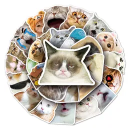 50 pcs cat expression pack cartoon creative graffiti car decoration PVC notebook diy personality waterproof helmet sticker