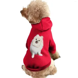 Abbigliamento per cani Abbigliamento esclusivo personalizzato per animali domestici Nome modello stampato Cucciolo Chihuahua Gattino Leggero