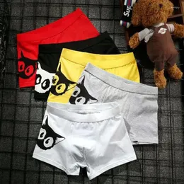 Onderbroeken herenslipjes Katoenen Boxershorts Man Cartoon Kitty Mannelijke Heren Boxers Grappige Shorts Heren Ardennenondergoed