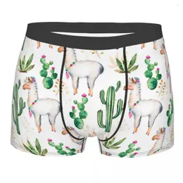 Unterhosen Kaktus Baumwolle Höschen Shorts Boxershorts Männliche Unterwäsche Drucken