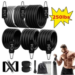 Resistance Bands 250lbs Set Fitness Workout Gym Pull Rope Yoga Latex Tube Sports Elastic Booty Exercise Equipment for Home 231024