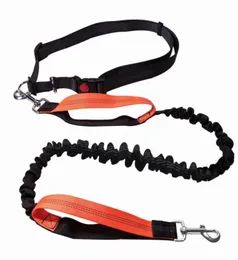 Dog Leashes Running Elasticity Hand ly Pet Products Dogs Harness Collar Jogging Lead and Adjustable Waist Rope Training Leash1958841