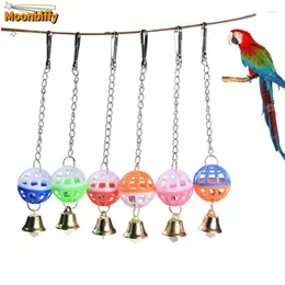 Andra fågelförsörjningar Pet Parrot Toys Colorful Hollow Rolling Bell Ball Toy Parakeet Cockatiel Chew Cage Fun Color Slumpmässigt