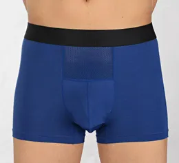 Underbyxor på sommaren Modal Loose Underwear Scrotum Support Vein Pants Boyshort Head