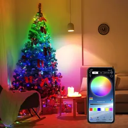 Рождественские украшения Уличная гирлянда Fairy Light RGBIC Водонепроницаемая светодиодная лента Bluetooth с удаленной синхронизацией музыки Изменение цвета для внутреннего декора 231025