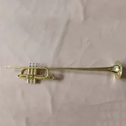 Baha'nın yeni trompet enstrümanı BB Trompet Uzatıldı Mart Salute Band'ın İlk Seçimi 00